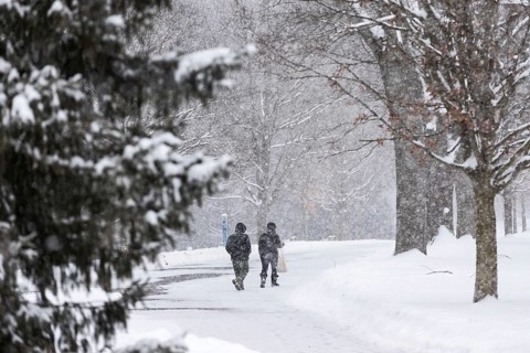 Heavy snow squalls of lake-effect snow falls over Springbank Park in London, Canada. Environment