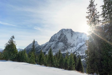 Winter scenery with the sun shining over the snowy Austrian Alps, the green forest and white