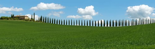 Tuscany landscape panorama with farmhouse and cypresses at sunny day. Province of Siena, Italy,