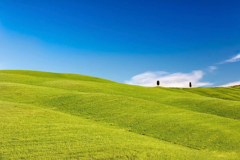 Rolling hills with trees and blue skies, Tuscany, Italy, Europe