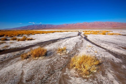 Death Valley National Park California Badwater salt soil desert