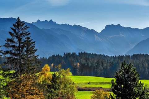 Green meadows, Allgäu Alps and mixed forest near Ofterschwang, Allgäu, Bavaria, Germany, Europe