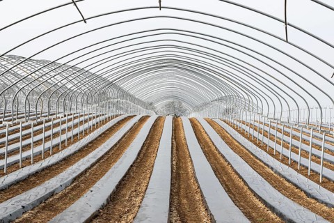 Frame of a greenhouse and fields with growing vegetables at the Flemish countryside around