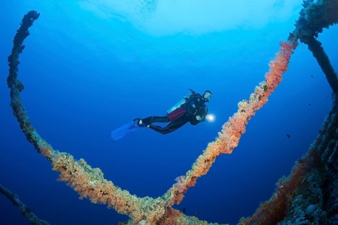 Diver at Numidia Wreck, Brother Islands, Red Sea, Egypt | Scuba Diver at Numidia Wreck, Red Sea,