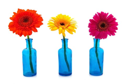 Row blue glass vases with colorful flowers isolated over white