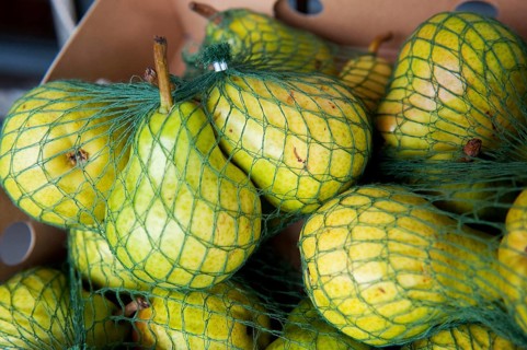 Pears in green cotton net for sale