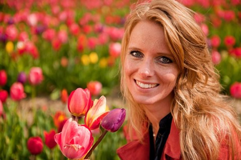Young blond woman is picking flowers in the Dutch tulips fields