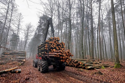 Forestry, forwarder