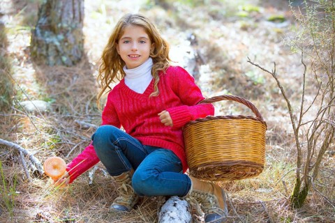 Kid girl searching chanterelles mushrooms with basket in autumn forest