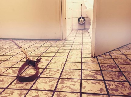 Dog leash on floor under door of toilet surrealistic image amsterdam