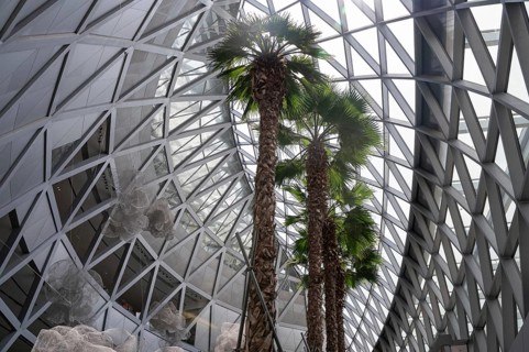 31.07.2023, Singapore, Republic of Singapore, Asia, Interior view of the modern Jewel Terminal with