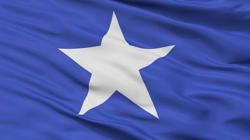 Tribes Fiji Flag, Closeup View