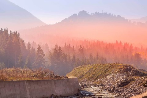 Abstract image of mysterious misty fog pine tree red sunset or sunrise forest
