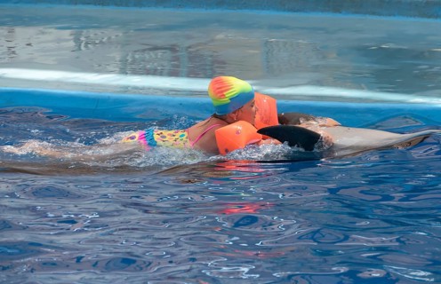 Little girl swim on dolphin in the pool