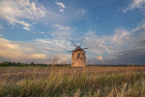 Windmill with wooden sails in a landscape with fields. Meadows and flowers appear in the sunset.