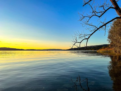 Calm lake at sunset with bare branches in the foreground and a wide horizon, Sempach, Lucerne,