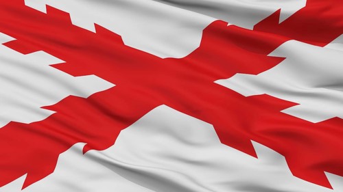 Cross Of Burgundy Flag, Closeup View