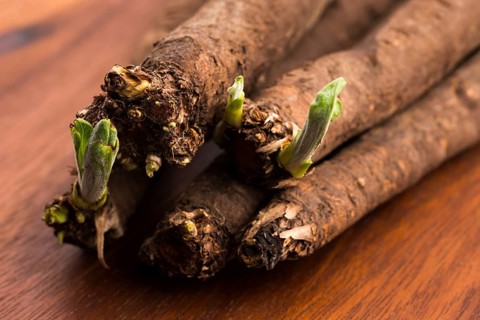 Black salsify vegetables on wood