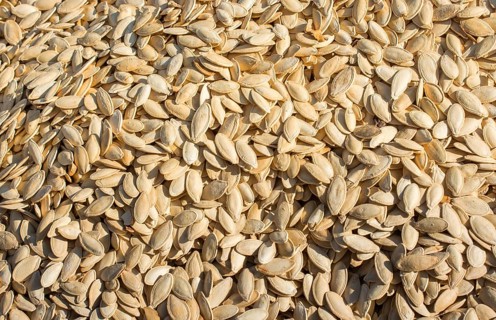 Pumpkin seeds. Background of pumpkin seeds. A lot of seeds