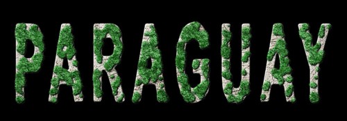 Paraguay Reforestation and Climate Message, Sustainable Green Typography, Green Agenda
