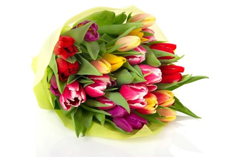 Wrapped colorful bouquet tulips on white background