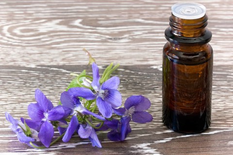 Dropper bottle with Bach flower essence on wooden background with blossoms Dropper bottle of bach