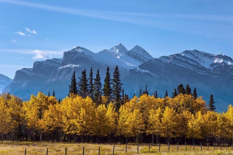 The first snow has already fallen on the peaks. The yellow foliage of birches and aspens is mixed