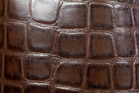 Crocodile or alligator skins brown background