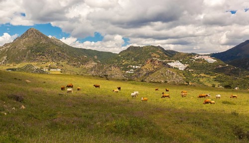 Pueblos Blancos near Casares, Andalusia, Spain, Europe