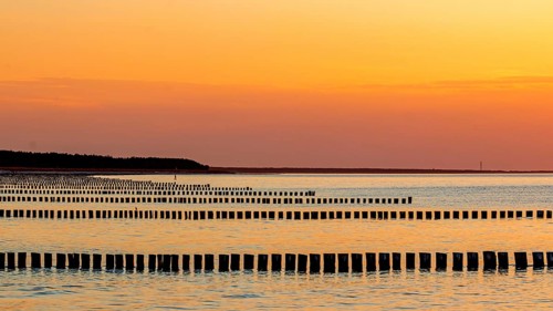 Zingst