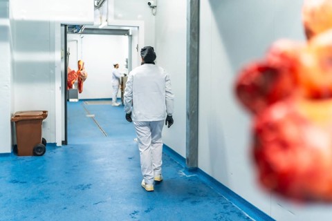 Full length photo of some people working in the cold room storage of a meat factory