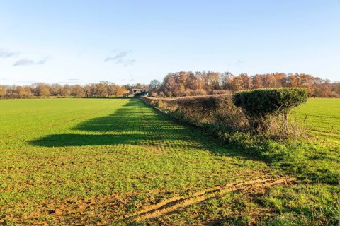 Long shadow cast in field by a hedgerow due to low angle winter sun, Sutton, Suffolk, England, UK
