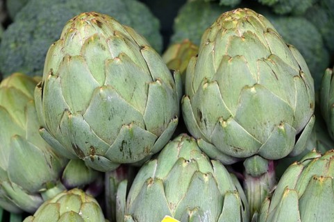 Artichokes (Cynara cardunculus var. scolymus) at a vegetable stand, Bavaria, Germany, Europe