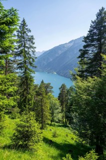 Forest and Lake Aachensee, Brandenberg Alps, Tyrol, Austria, Europe