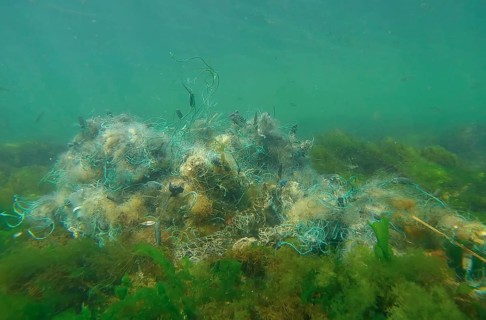 Lost fishing net lies on seabed in green algae Ulva on bright sunny day in sun glare in Black sea,