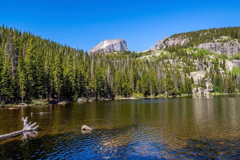 At the Bear lake in the National Park Rocky Mountains with blue sky in summertime, landscape format
