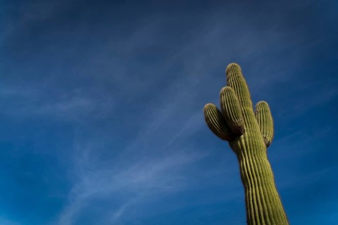 View of the mountains at Papago Park In Phoenix, Arizona