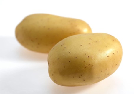 Mona Lisa Potato (Solanum tuberosum), Vegetables against White Background