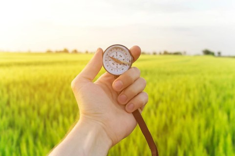 Finding a direction in nature on a wheat field. A man's hand holds a compass