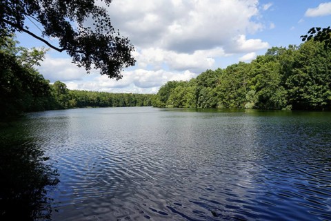 Krumme Lanke, Lake, Steglitz-Zehlendorf, Grunewald, Berlin, Germany, Europe