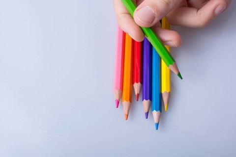 Hand holding color Pencils placed on a white background
