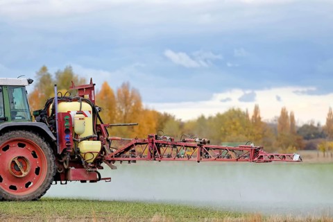 Spraying winter cereals