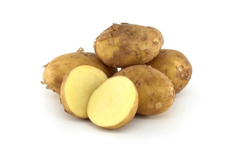 Early season potatoes with a light brown skin isolated on a white background, one potato bisected