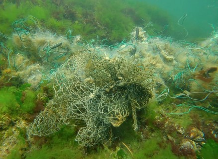 Lost fishing net lies on seabed in green algae Ulva on bright sunny day in sun glare in Black sea,