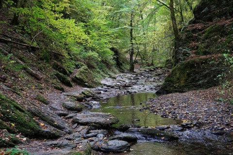 Hiking trail, Ehrbach valley, Hunsrück, near Brodenbach, Rhineland-Palatinate, Germany, Europe