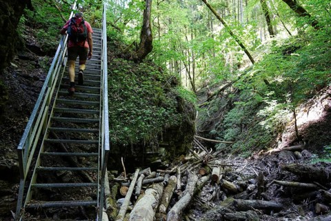 Hiker, steep stairs, narrow gorge, hiking trail, Tränkebach, Schluchtensteig, near Bachheim,