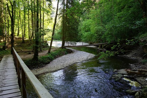 Hiking trail, wooden bridges over the Wutach, Wutach gorge between Bachheim and Wutachmühle, middle