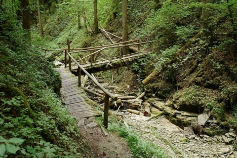 Bridge, narrow gorge, hiking trail, Tränkebach, Schluchtensteig, near Bachheim, southern Baar,