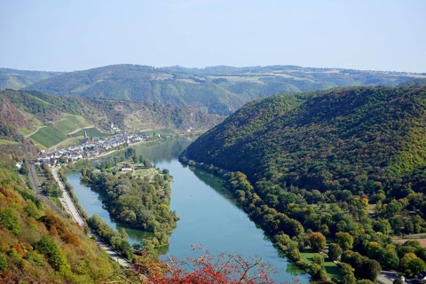 View of Hatzenport, vineyards and Moselle, Moselsteig, terraced Moselle, Moselle valley, Eifel,