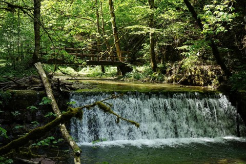 Waterfall, weir, hiking trail, Gauchachschlucht, Schluchtensteig, Gauchach, southern Baar,
